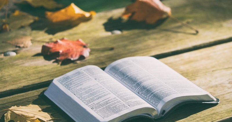 Intelligence artificielle et traduction de la Bible : la revolution est en marche